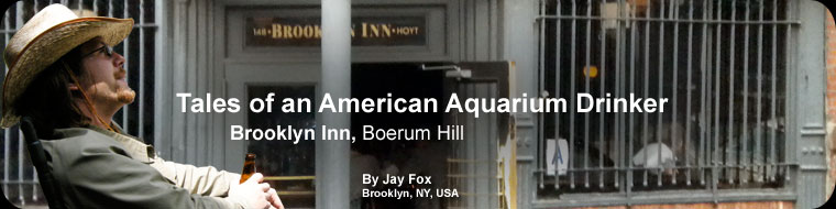 Tales of an American Aquarium Drinker - Brooklyn Inn, Boerum Hill