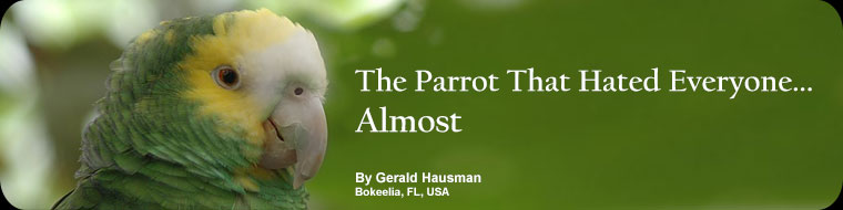 The Parrot That Hated Everyone...Almost