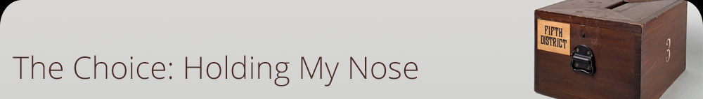 The Choice: Holding My Nose